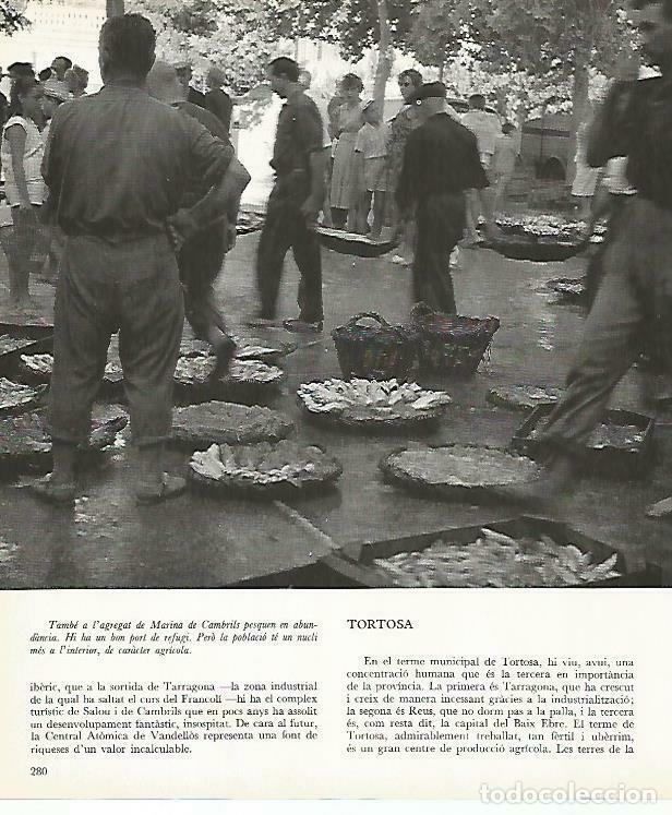 Otros art&iacute;culos de coleccionismo en papel: LAMINA 4392-27: Pescadores en Cambrils, Tarragona - Josep Pla