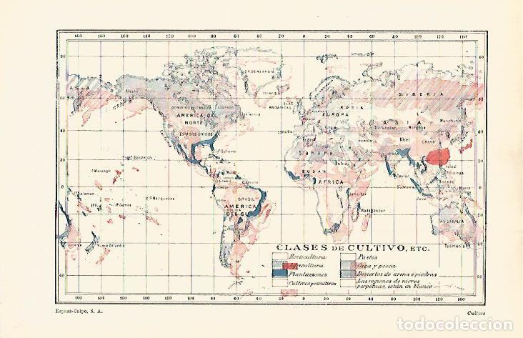 Otros art&iacute;culos de coleccionismo en papel: LAMINA ESPASA 29848: Mapa mundial de clases de cultivos - Varios