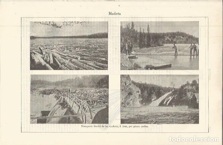 Otros art&iacute;culos de coleccionismo en papel: LAMINA ESPASA 36411: Transporte fluvial de la madera - Varios