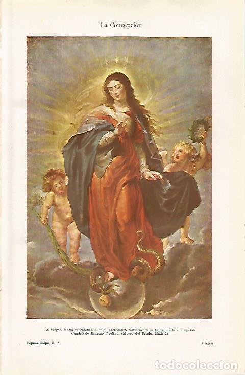 Otros art&iacute;culos de coleccionismo en papel: LAMINA ESPASA 30421: La Virgen Maria por Erasmo Quellyn - Varios