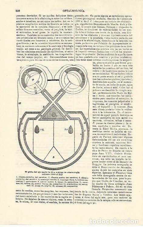 Otros art&iacute;culos de coleccionismo en papel: LAMINA ESPASA 21331: El globo del ojo - Varios