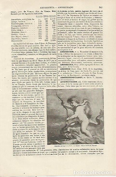 Otros art&iacute;culos de coleccionismo en papel: LAMINA ESPASA 23701: Amorcillo cabalgando un delfin por Quellin - Varios