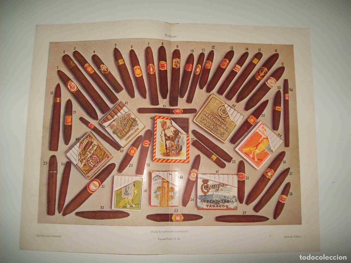 Otros art&iacute;culos de coleccionismo en papel: LAMINA ESPASA 22639: Tabaco - Varios