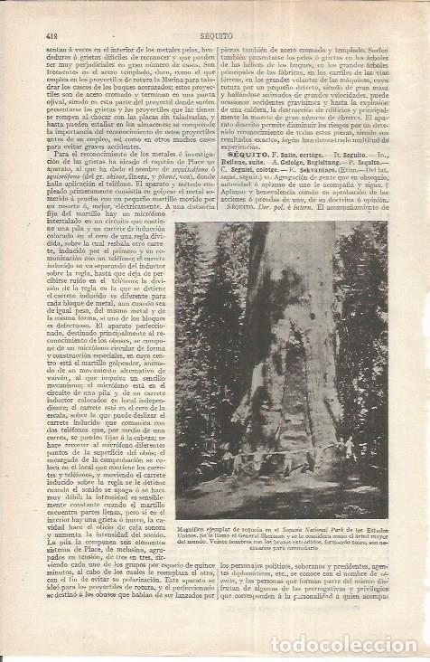 Otros art&iacute;culos de coleccionismo en papel: LAMINA ESPASA 37163: Sequoia en un parque de Estados Unidos - Varios