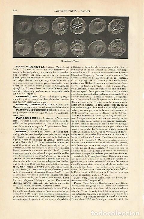 Otros art&iacute;culos de coleccionismo en papel: LAMINA ESPASA 23370: Monedas de Paros (Grecia) - Varios