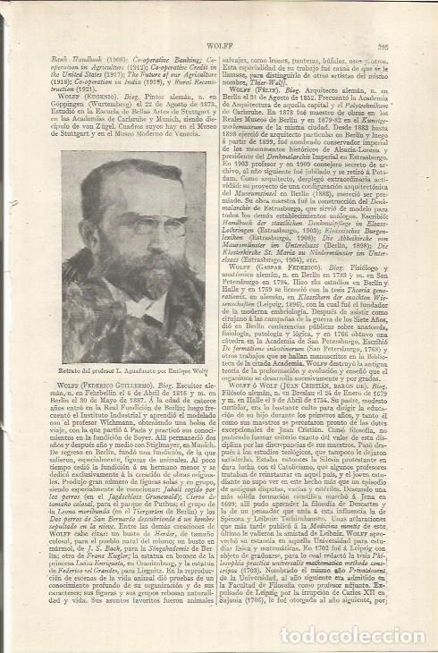 Otros art&iacute;culos de coleccionismo en papel: LAMINA ESPASA 36831: Retrato del profesor L., por E.Wolff - Varios