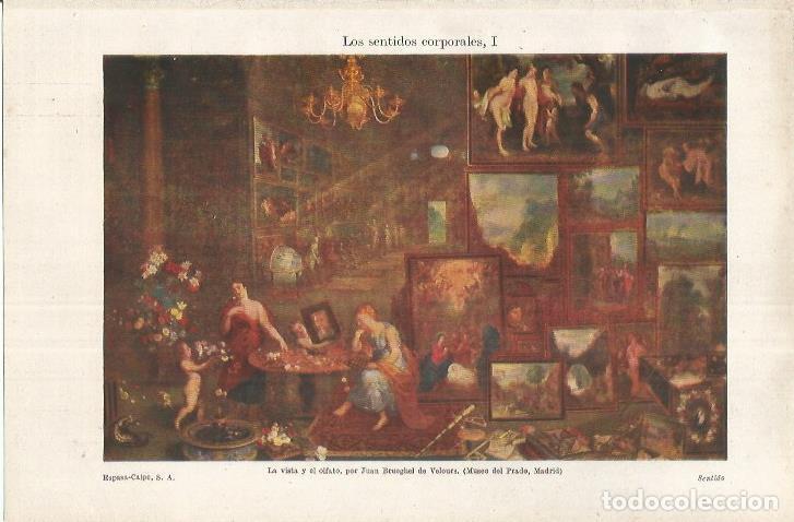 Otros art&iacute;culos de coleccionismo en papel: LAMINA ESPASA 37139: La vista y el olfalto, por J. Brueghel de Velours - Varios