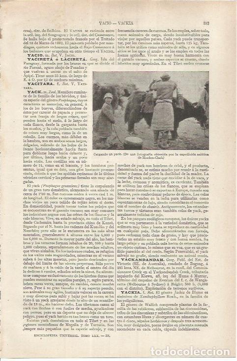 Otros art&iacute;culos de coleccionismo en papel: LAMINA ESPASA 36865: Cargando un yack, fotografia de Morden-Clark - Varios