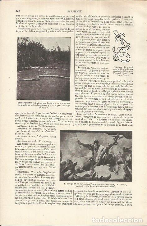 Otros art&iacute;culos de coleccionismo en papel: LAMINA ESPASA 37191: El castigo de las serpientes, por Tiepolo - Varios