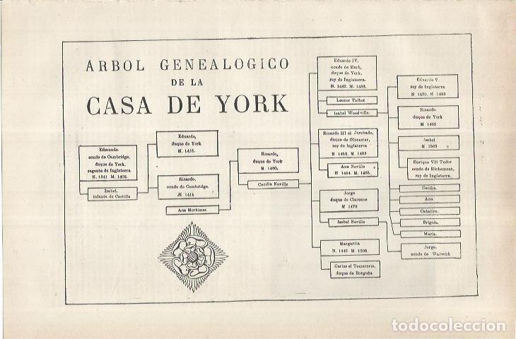 Otros art&iacute;culos de coleccionismo en papel: LAMINA ESPASA 36904: Arbol genealogico de la Casa de York - Varios