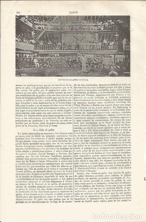 Otros art&iacute;culos de coleccionismo en papel: LAMINA ESPASA 37503: Interior de gallera en Manila, Filipinas - Varios