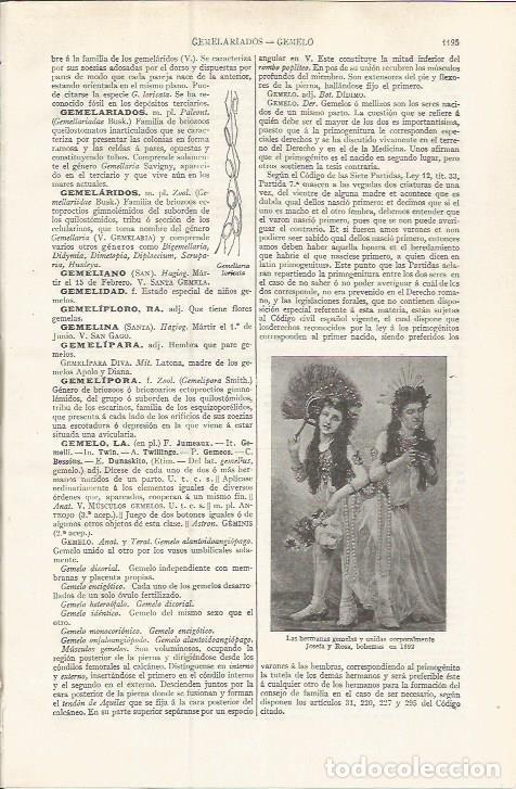 Otros art&iacute;culos de coleccionismo en papel: LAMINA ESPASA 37608: Las hermanas siamesas Josefa y Rosa - Varios