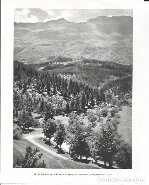 Otros art&iacute;culos de coleccionismo en papel: LAMINA 26483: Bosque en el interior del Pais Vasco - Pio Baroja