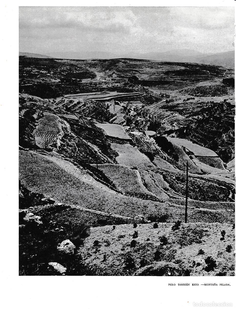 Otros art&iacute;culos de coleccionismo en papel: LAMINA 5865: Monta&ntilde;a pelada - Joan Fuster