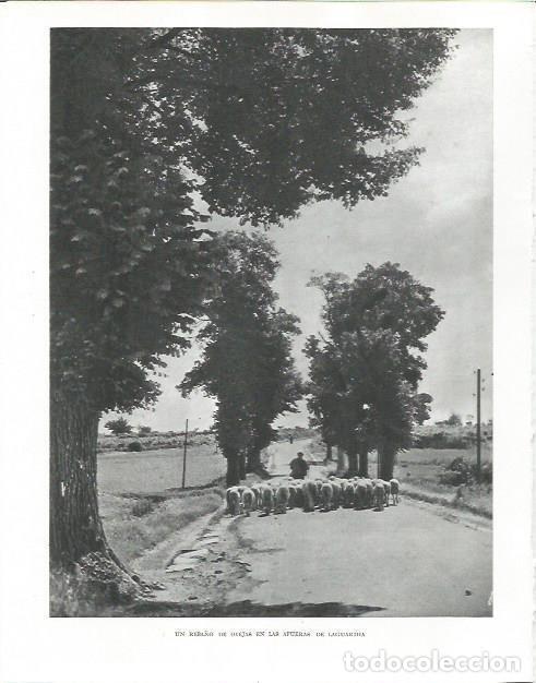 Sammelleidenschaft Andere Papierartikel: LAMINA 26514: Reba&ntilde;o de ovejas en Laguardia - Pio Baroja