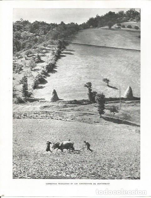 Otros art&iacute;culos de coleccionismo en papel: LAMINA 26533: Campesinos en Ormaiztegui - Pio Baroja