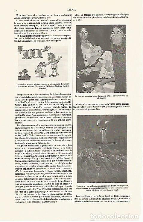 Otros art&iacute;culos de coleccionismo en papel: LAMINA ESPASA 31253: La chaman Maria Sabina - Varios