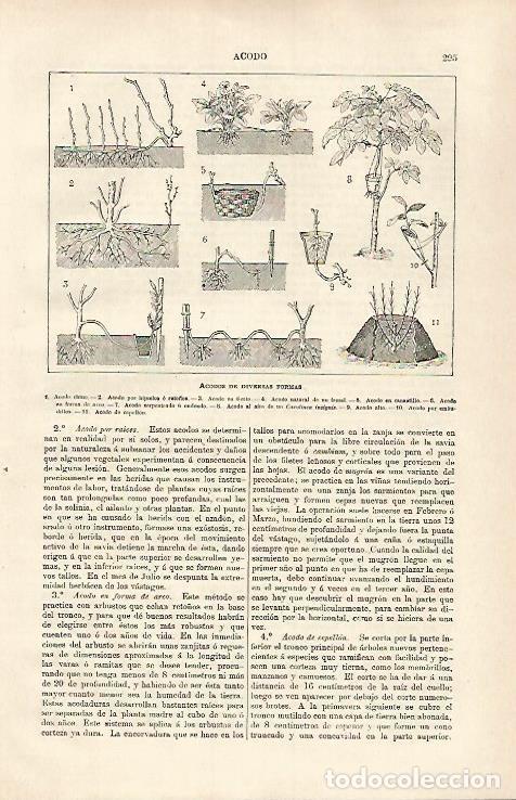 Otros art&iacute;culos de coleccionismo en papel: LAMINA ESPASA 31333: Acodos de diversas formas - Varios