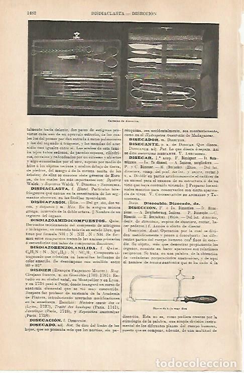 Otros art&iacute;culos de coleccionismo en papel: LAMINA ESPASA 31431: Carteras de diseccion - Varios