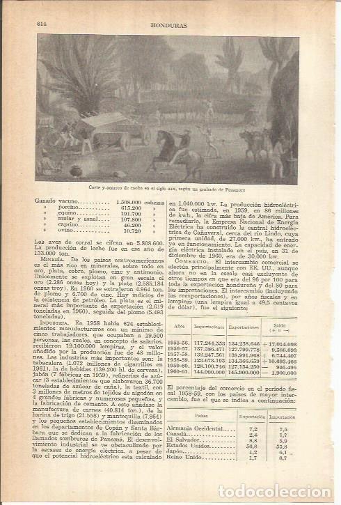 Otros art&iacute;culos de coleccionismo en papel: LAMINA ESPASA 38174: Corte y acarreo de caoba, grabado de Passmore - Varios