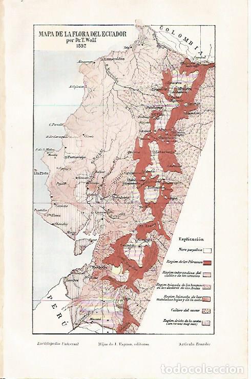 Otros art&iacute;culos de coleccionismo en papel: LAMINA ESPASA 31647: Mapa de la flora de Ecuador - Varios