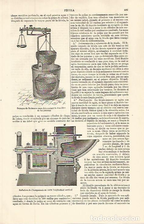 Otros art&iacute;culos de coleccionismo en papel: LAMINA ESPASA 32627: Balanza de Reimann - Varios