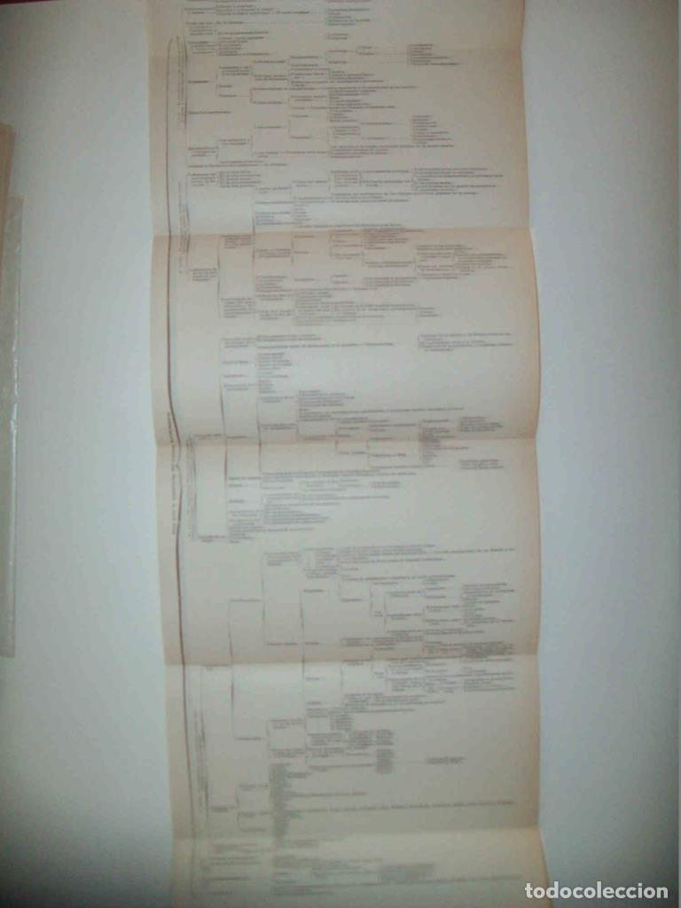 Otros art&iacute;culos de coleccionismo en papel: LAMINA ESPASA 32298: Plan de exposicion del articulo Matrimonio - Varios