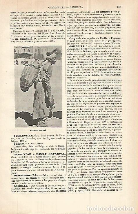 Otros art&iacute;culos de coleccionismo en papel: LAMINA ESPASA 32939: Aguador de Osmar, Bulgaria - Varios