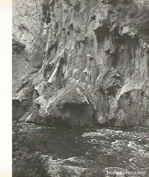 Otros art&iacute;culos de coleccionismo en papel: LAMINA 14013: Rio en el Pirineo - Josep Pla
