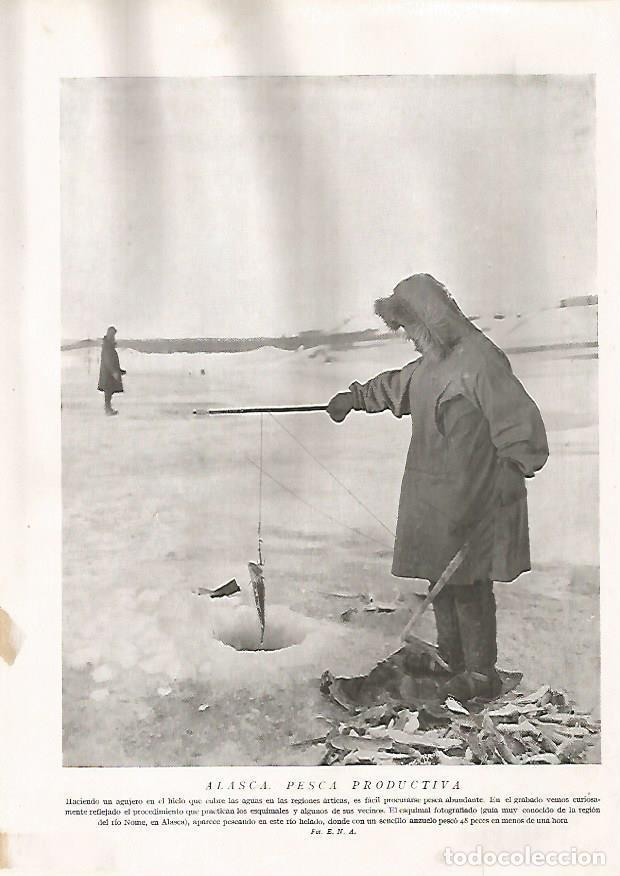 Otros art&iacute;culos de coleccionismo en papel: LAMINA 15562: Pesca en Alaska - Director: Pedro Bosch Gimpera