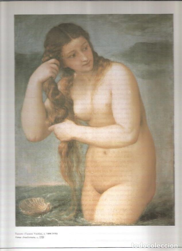 Sammelleidenschaft Andere Papierartikel: LAMINA 19463: Venus Anadiomene, por Tiziano - E. Lucie-Smith
