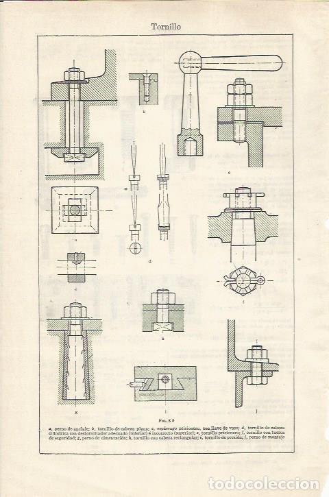 Otros art&iacute;culos de coleccionismo en papel: LAMINA ESPASA 35146: Tornillo - Varios
