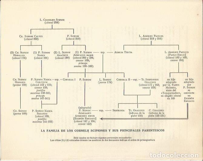 Outros artigos de papel: LAMINA 20825: Arbol geenelogico de los Escipiones - Maurice Crouzet