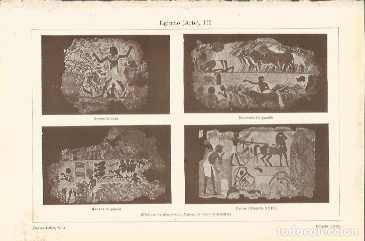 Otros art&iacute;culos de coleccionismo en papel: LAMINA ESPASA 35525: Pinturas egipcias en el Museo Britanico - Varios