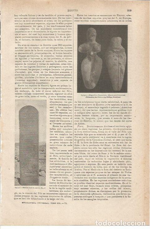 Otros art&iacute;culos de coleccionismo en papel: LAMINA ESPASA 35489: Figurillas femeninas del Egipto prehistorico - Varios