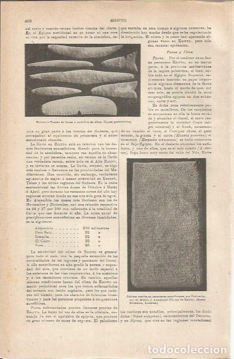 Otros art&iacute;culos de coleccionismo en papel: LAMINA ESPASA 35487: Tablilla cuneiforme del rey de Mitanni - Varios