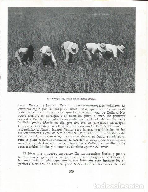 Otros art&iacute;culos de coleccionismo en papel: LAMINA 21932: Cultivo del arroz en Sueca - Joan Fuster