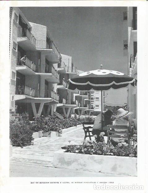 Otros art&iacute;culos de coleccionismo en papel: LAMINA 21952: Apartamentos en Benidorm - Joan Fuster