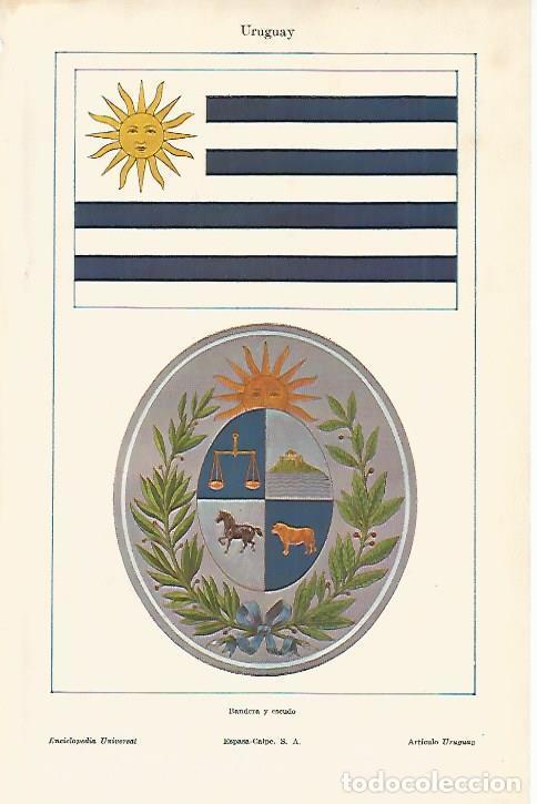 Otros art&iacute;culos de coleccionismo en papel: LAMINA ESPASA 12215: Bandera y escudo de Uruguay - Varios