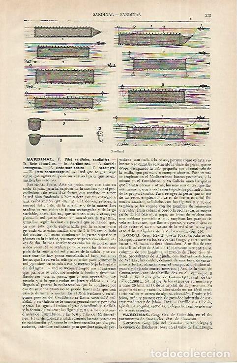 Otros art&iacute;culos de coleccionismo en papel: LAMINA ESPASA 12366: Sardinal - Varios