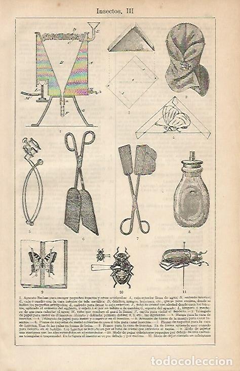 Otros art&iacute;culos de coleccionismo en papel: LAMINA ESPASA 4629: Utensilios para insectos - Varios Autores