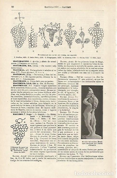 Otros art&iacute;culos de coleccionismo en papel: LAMINA ESPASA 15880: Filigranas de papel con forma de racimo - Varios