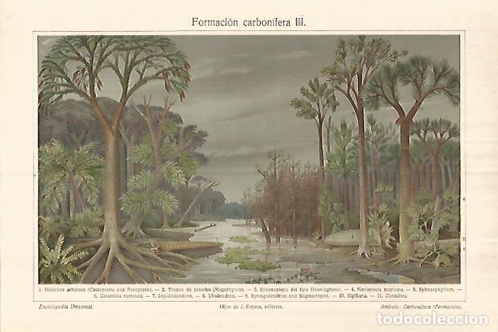 Otros art&iacute;culos de coleccionismo en papel: LAMINA ESPASA 28311: Carbonifera - Varios