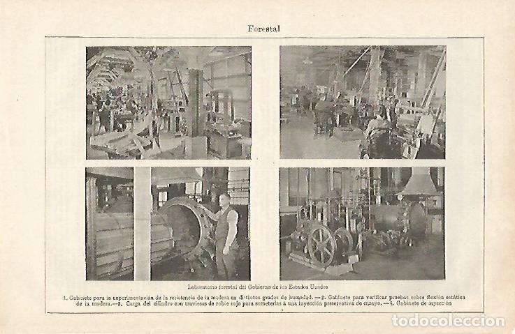 Otros art&iacute;culos de coleccionismo en papel: LAMINA ESPASA 28554: Laboratorio Forestal de Estados Unidos - Varios