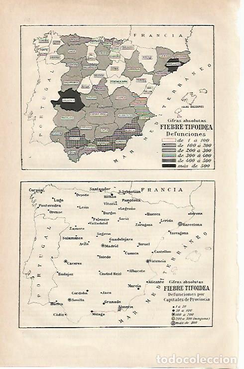 Otros art&iacute;culos de coleccionismo en papel: LAMINA ESPASA 19857: Mapas de Espa&ntilde;a de la fiebre tifoidea - Varios