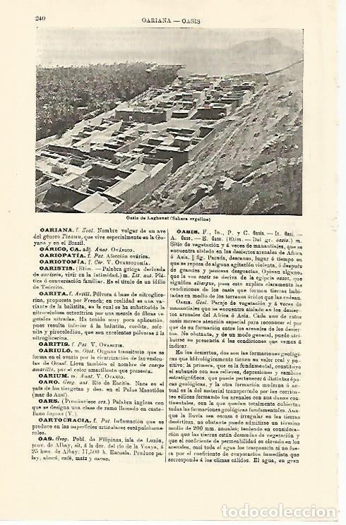 Otros art&iacute;culos de coleccionismo en papel: LAMINA ESPASA 21227: Oasis de Laghonat (Argelia) - Varios