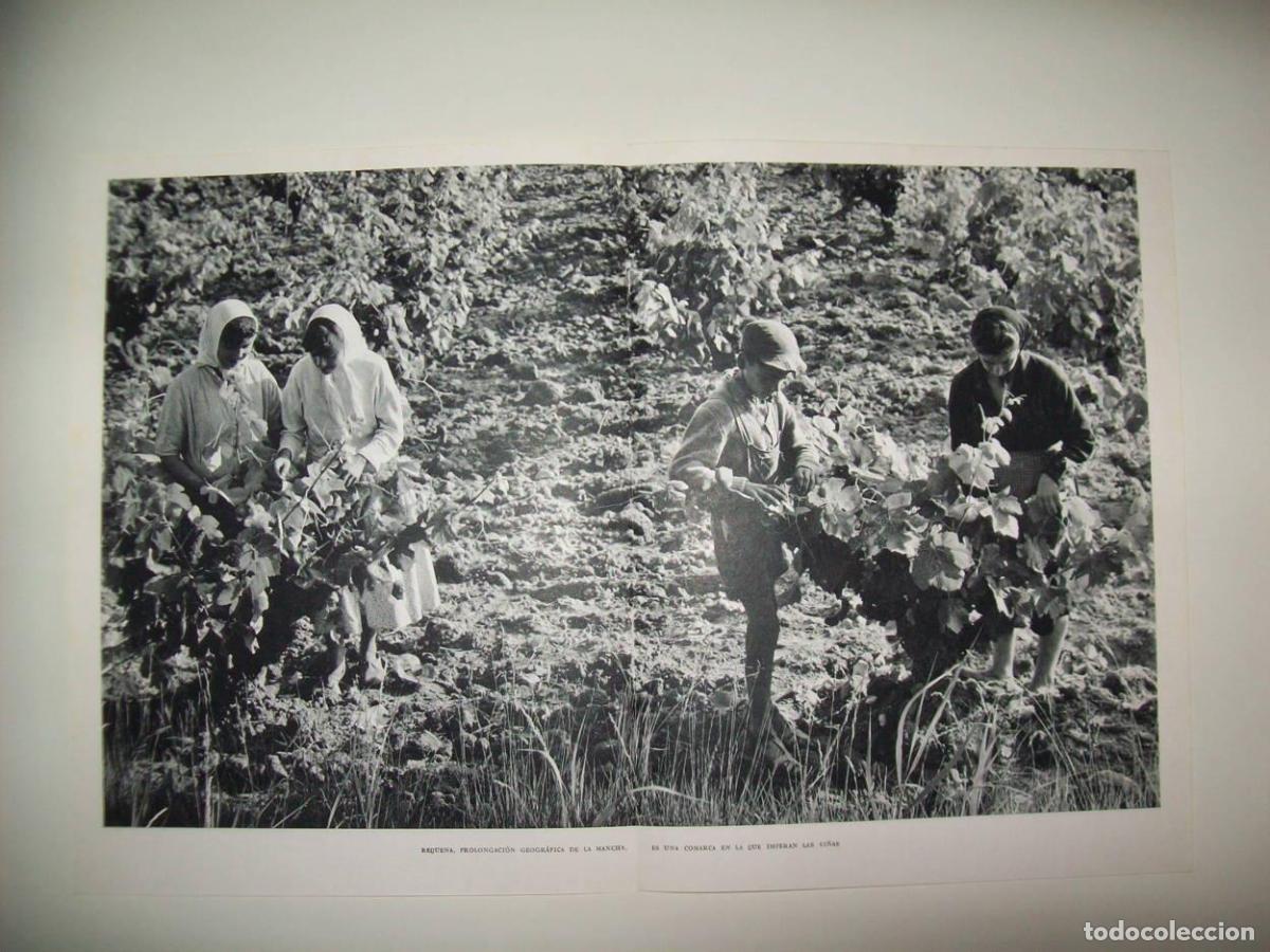 Otros art&iacute;culos de coleccionismo en papel: LAMINA 21919: Vendimia en Requena - Joan Fuster