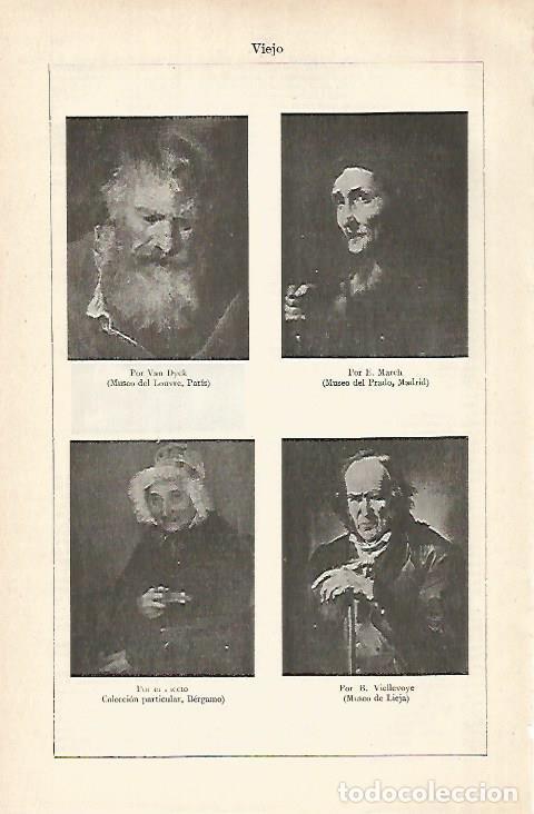 Otros art&iacute;culos de coleccionismo en papel: LAMINA ESPASA 28963: Retratos de viejo por Van Dyck E. March y B. Viellevoye - Varios
