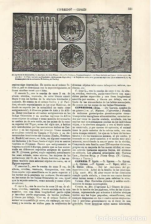 Otros art&iacute;culos de coleccionismo en papel: LAMINA ESPASA 29295: El cipres en la decoracion - Varios