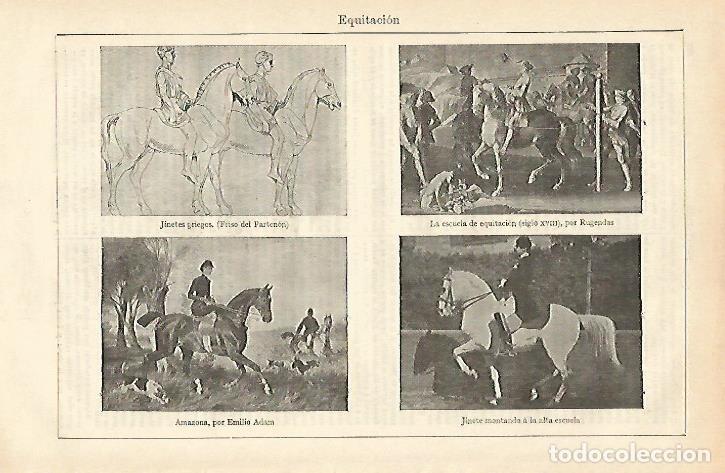 Otros art&iacute;culos de coleccionismo en papel: LAMINA ESPASA 16523: Equitacion - Varios